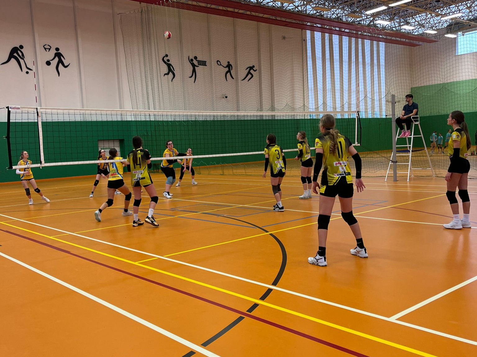 b3b3476e-d32f-4ced-9915-7394855bf74c